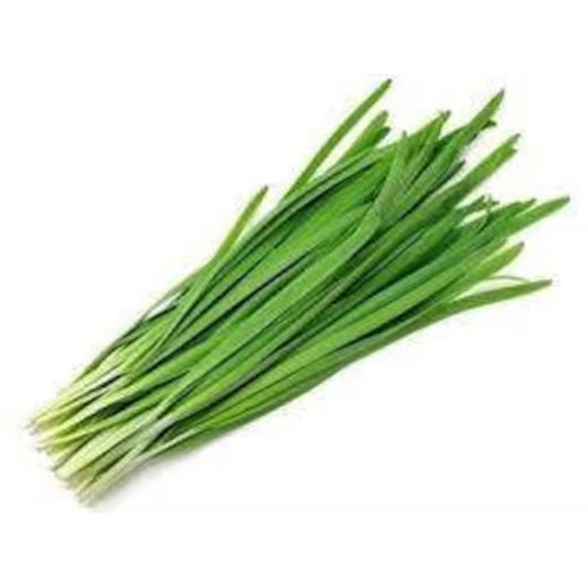 Chive 부추