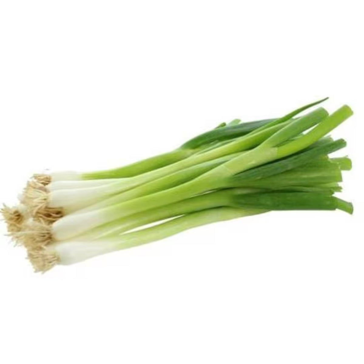 Green Onion 중파
