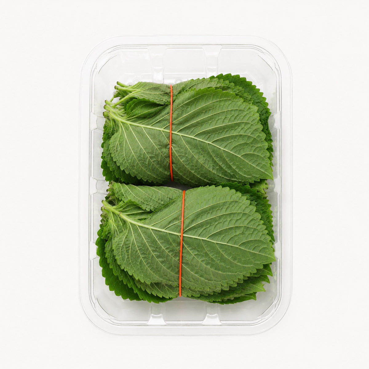 Sesame Leaves 깻잎