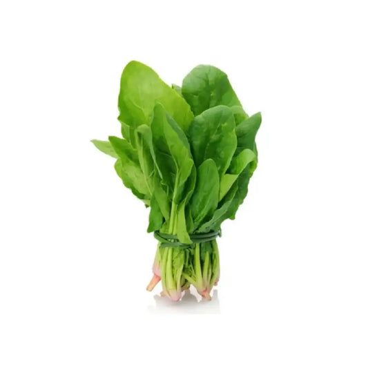 Spinach 시금치